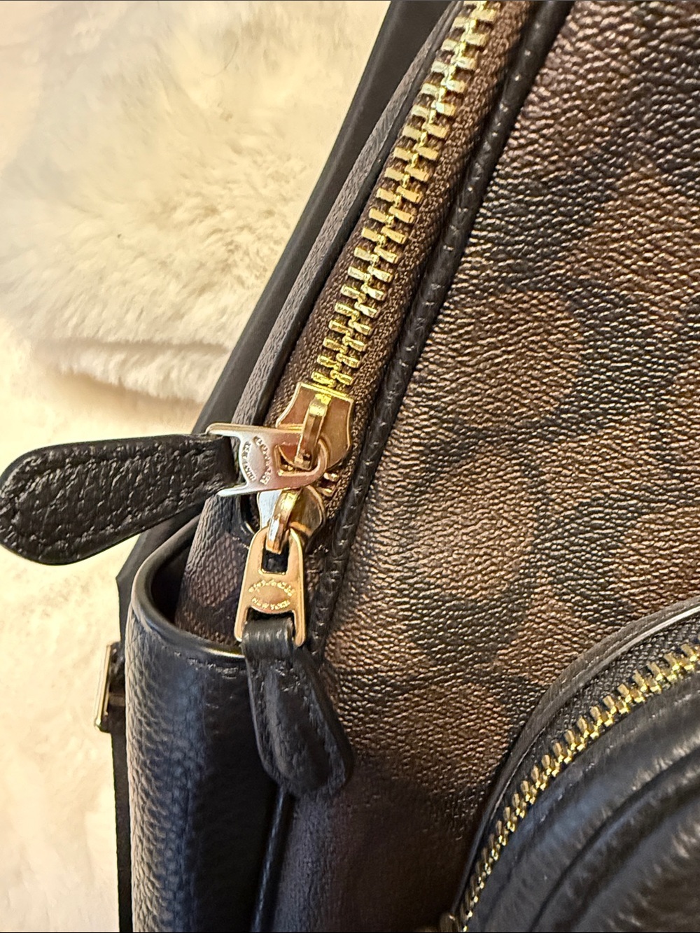 Coach Brown Signature Backpack with Black Leather Trim - Picture 4 of 14